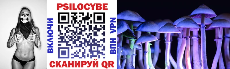 Псилоцибиновые грибы MAGIC MUSHROOMS  наркотики  Верхоянск 